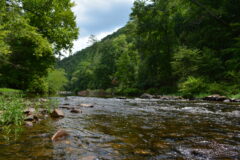 Conasauga River (Photo by Jay Choate)