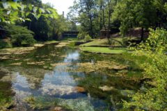 Crawfish Springs