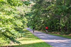 Riding the Silver Comet Trail